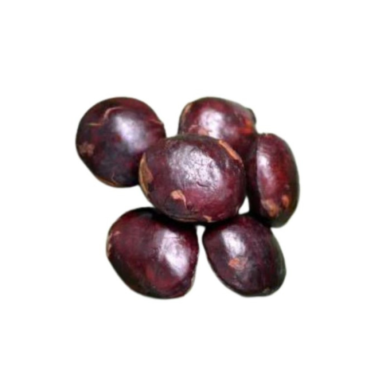 Jengkol ( 250 gr )